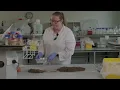 Soil Processing for Chemical Analysis