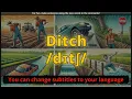 Ditch meaning with 5 examples