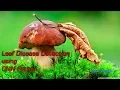 Leaf Disease Detection using CNN Python