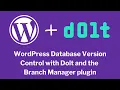 Add version control to WordPress database with Dolt and Branch Manager