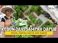 Lagu Kebun Estetik dari Sampah Dapur