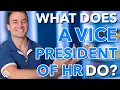 What Does a Vice President of HR Do