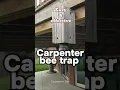 Best Carpenter Bee Trap Time To Fight Back How To Make A Carpenter Bee Trap