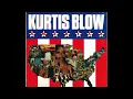 Kurtis Blow - If I Ruled The World