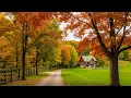 Beautiful Relaxing Music For Stress 🍁 Soothing Autumn Music, Anxiety Relief, Relax