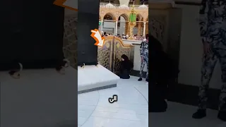 بنت تصلي بجانب الكعبة Shorts Makkah Kaaba 