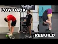 Most Important Progression for Low Back Pain