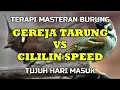 Download Lagu suara gereja tarung vs cililin roll speed, cocok untuk masteran burung kicau mania