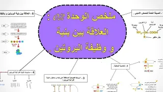 خريطة ذهنية للوحدة 2 العلاقة بين بنية و وظيفة البروتين 