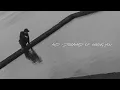 Harrison Storm - Am I Dreaming? [Official Lyric Video]