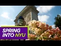 NYU Spring Admission