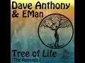 Dave Anthony feat.Eman - Tree Of Life (Atjazz Remix)
