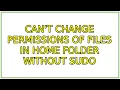 Ubuntu Can t Change Permissions of Files in Home Folder without Sudo