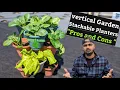 Pros and Cons Growing in a Stackable Planters