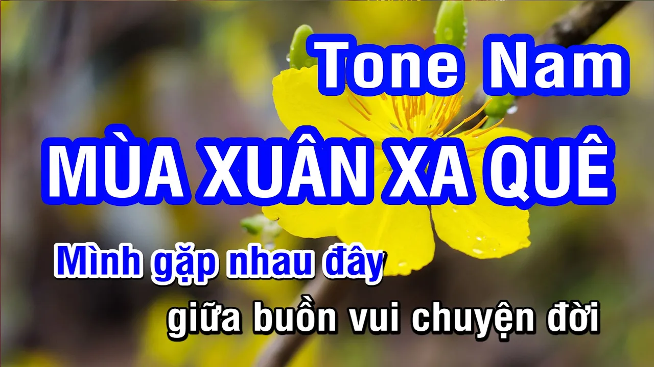Karaoke Mùa Xuân Xa Quê Tone Nam | @nhanktv