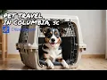 Find Safe and Comfortable Pet Transportation in Columbia SC