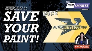 Automotive Touch Ups Car Smarts