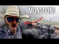 Herding Cattle In a HEAVY Rain Storm GONE WRONG