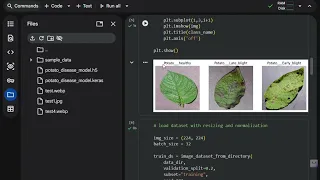 Assignment 10 by Jeevan S datascience B-11 potato leaf diseases detection using CNN deep learning