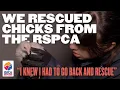 Download Lagu We rescued chicks from the RSPCA | Peppi \u0026 Jade's Story