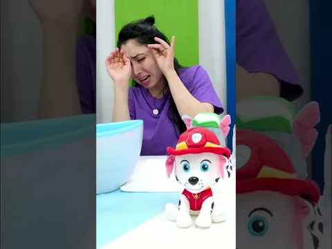 Los cachorros de la Patrulla Canina se bañan