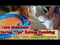 Download Lagu Cara Membuat EarTag \
