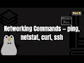 Networking Basics Explained ping netstat curl ssh in Action