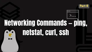 Networking Basics Explained ping netstat curl ssh in Action