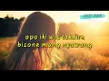 Download Lagu suliyana - bisane mung nyawang lyrik