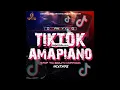 Download Lagu DJ Danny Yung Hottest South African Tiktok Amapiano Songs DJ Mix Mixtape [WWW.NaijaDJMix.COM]