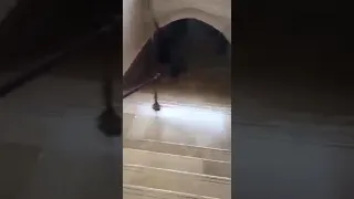 المسجد الاقصي الأسير الذي لا نعرفه من الداخل 