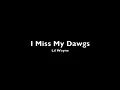 I Miss My Dawgs - Lil Wayne