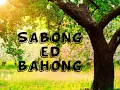 Download Lagu IGOROT SONG-sabong ed bahong