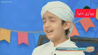 Emotional Naat Shukriya Ap Ka Sultan Madine Wale Piyari Duniya  Emotional Naat Shukriya Ap Ka Sultan Madine Wale Piyari Duniya