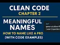 Clean Code in Python - Mastering Meaningful Names Chapter 2 Explained with Real Examples
