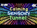 Lagu Autism Calming Music Engaging Light Tunnel