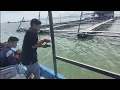Download Lagu 30/08/2025  Trip Mancing at Sangkar Sungai Udang Penang 