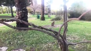 اتعبتنا الحياة ودوختنا الظروف دندنها