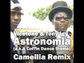 Download Lagu Vicetone \u0026 Tony Igy - Astronamia (a.k.a. Coffin Dance Theme) Camellia Remix