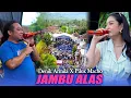 Download Lagu JAMBU ALAS - DENIK ARMILA FT PILOX MACHO || ONE PRO ( Live Pemuda Aseman Rebound )