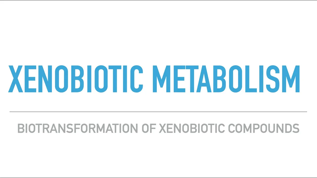 Xenobiotic Metabolism/CYP450 Enzyme Mechanism/Detoxification in the Liver