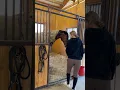 Getting things done before noodle s jump school