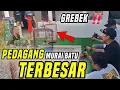 Download Lagu Sudah Jual 300 lebih Murai Batu Spek Even ‼️ Tersebar ke Seluruh wilayah Indonesia
