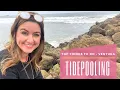 Top FREE Things To Do - Ventura Tidepooling