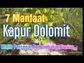 Lagu 7 Manfaat Kapur Dolomit Untuk Durian