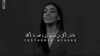 درت ظهري للكثير ليس غرورا    دندنها