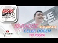 Lagu CELEK DOGEN - TRI PUSPA || VERSI UKULELE BAGUS WIRATA