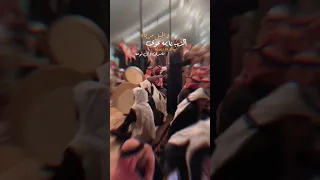 الذيب يايمه عوى والجبل مرباه سامريات سامري حايل 