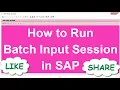 How to Run Batch Input Session in SAP