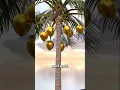 Download Lagu De gouden kokosnoot van de maffia die hem miljonair maakte 🤑